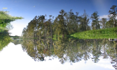 bayou